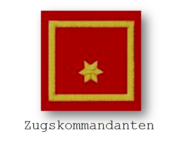 2015_dienstgrade_zugskommandanten